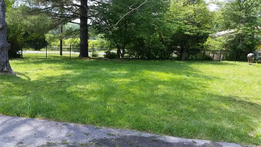Metal Fencing